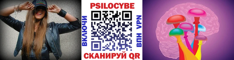 сколько стоит  Новоалтайск  Псилоцибиновые грибы Cubensis 