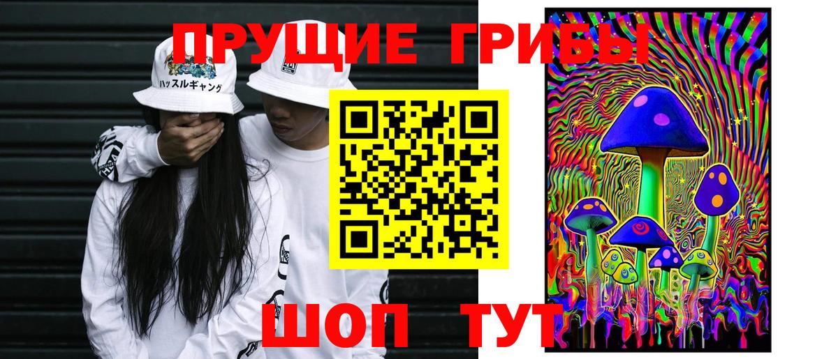 Псилоцибиновые грибы мицелий Новоалтайск