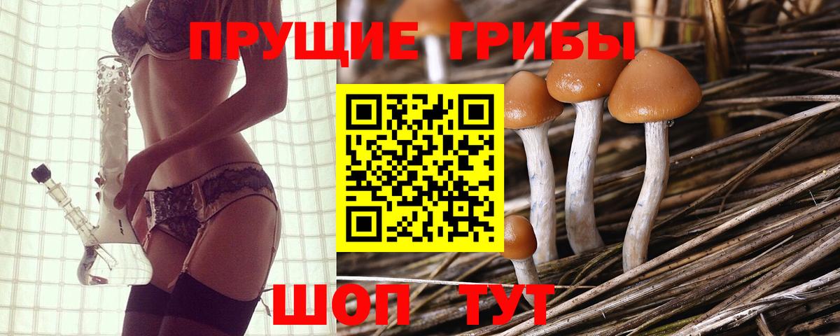 Новоалтайск  Галлюциногенные грибы GOLDEN TEACHER  Вход с VPN 